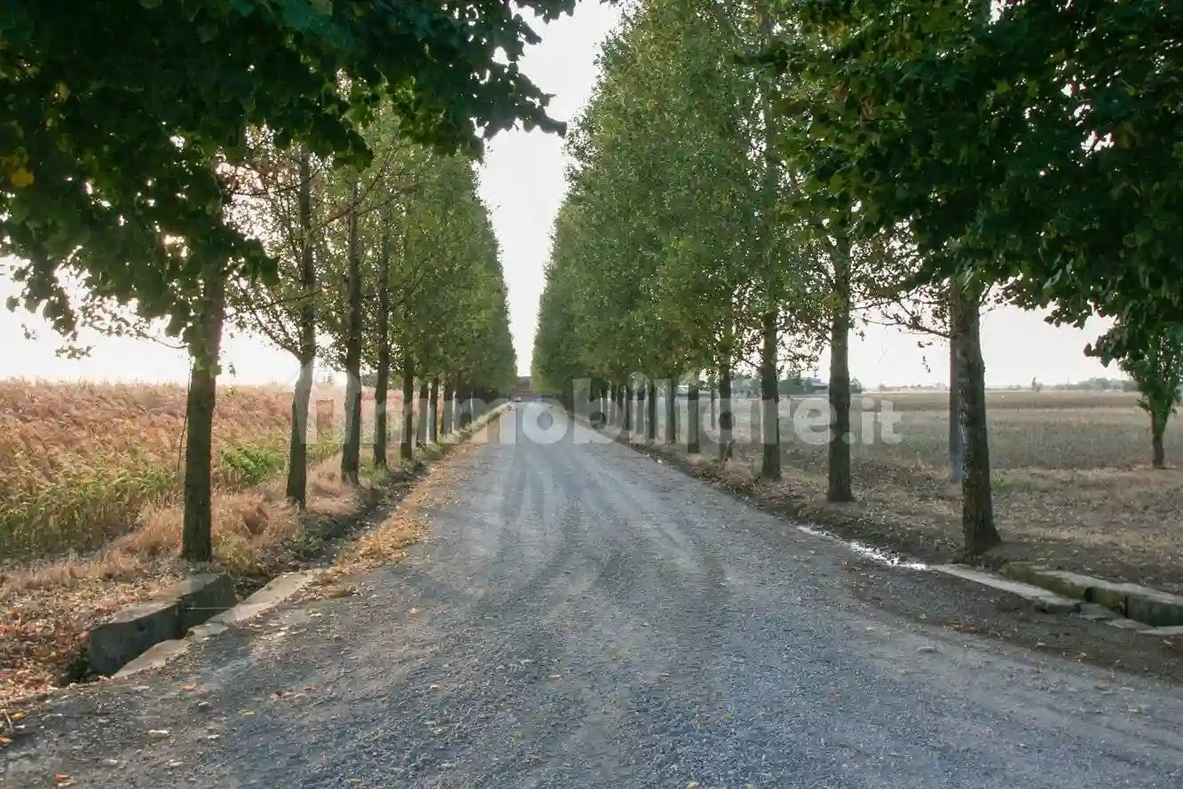 Palazzo - Edificio - foto 3