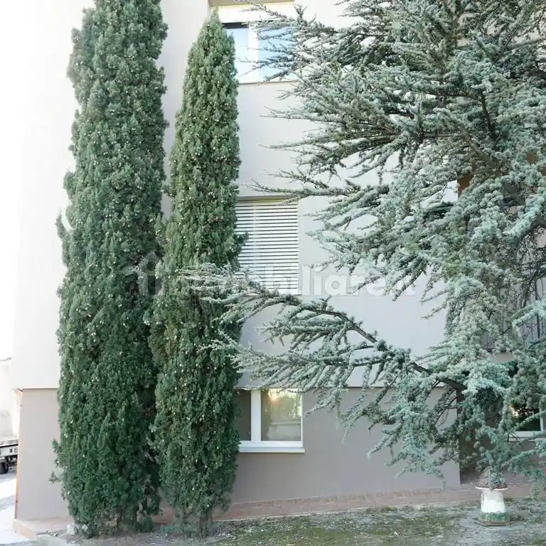 Appartamento Contrada Carrara 43, Barbara - foto 4