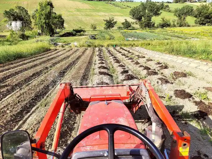 Casa indipendente in vendita a Monte San Vito