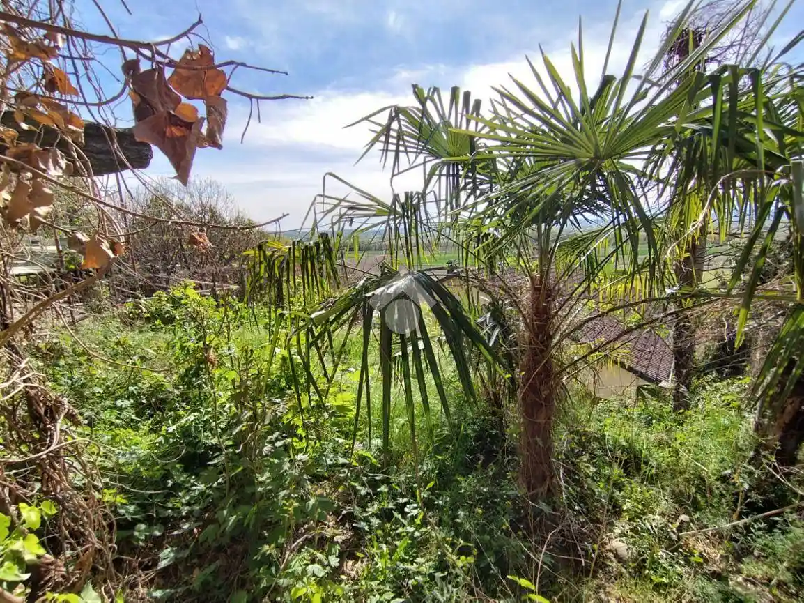 Rustico via Solferino, Borgomasino - foto 5