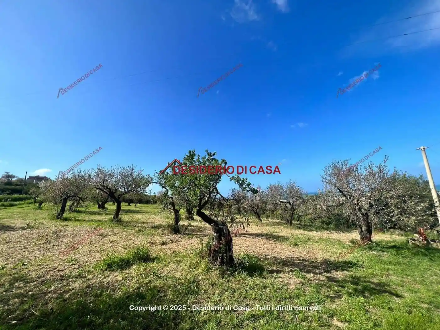 Villa in vendita a Termini Imerese