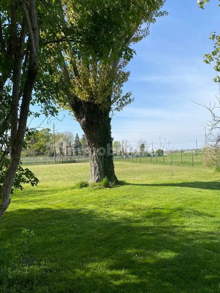 Villa in vendita a Modena