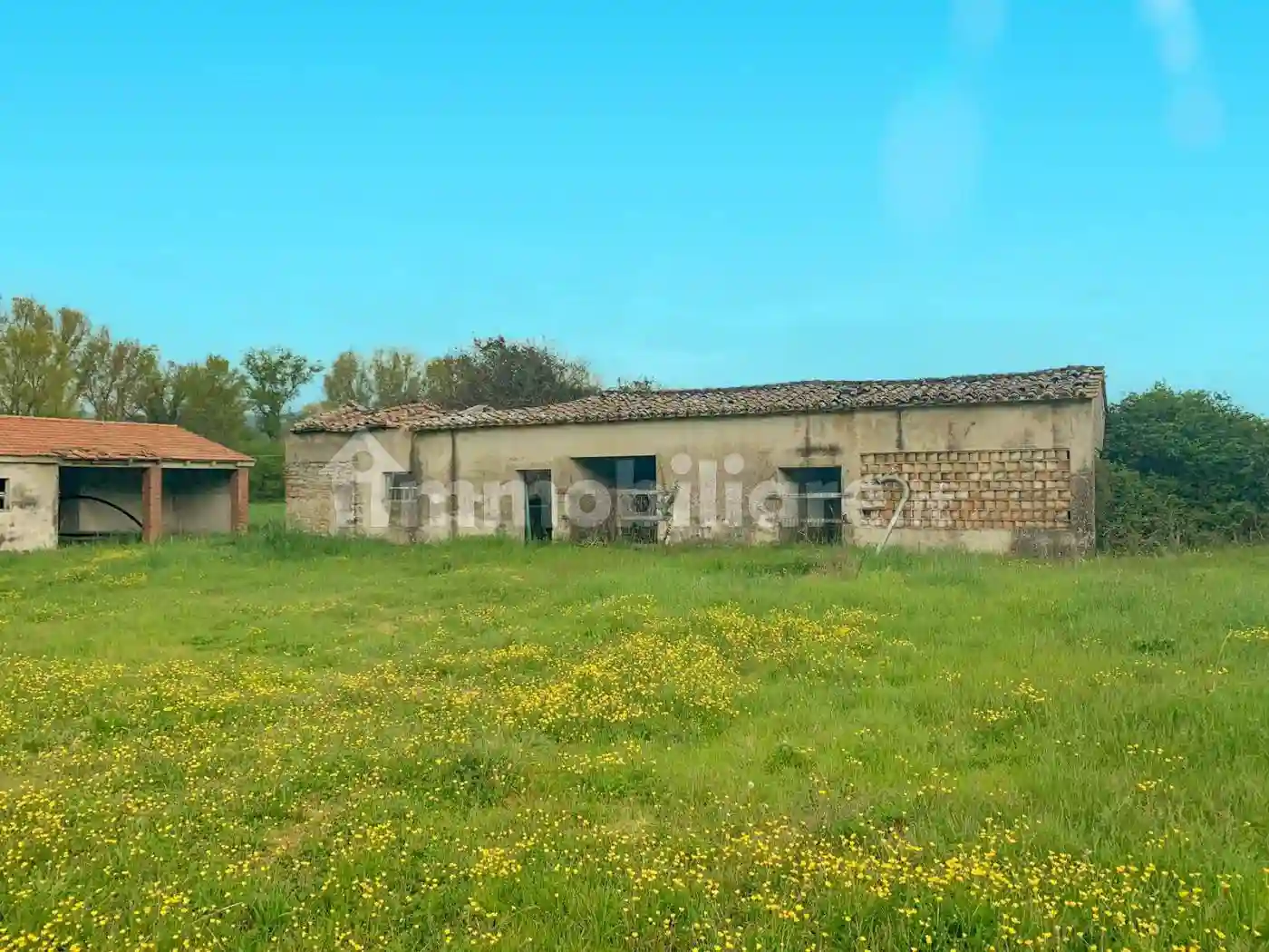 Rustico - Casale - foto 4