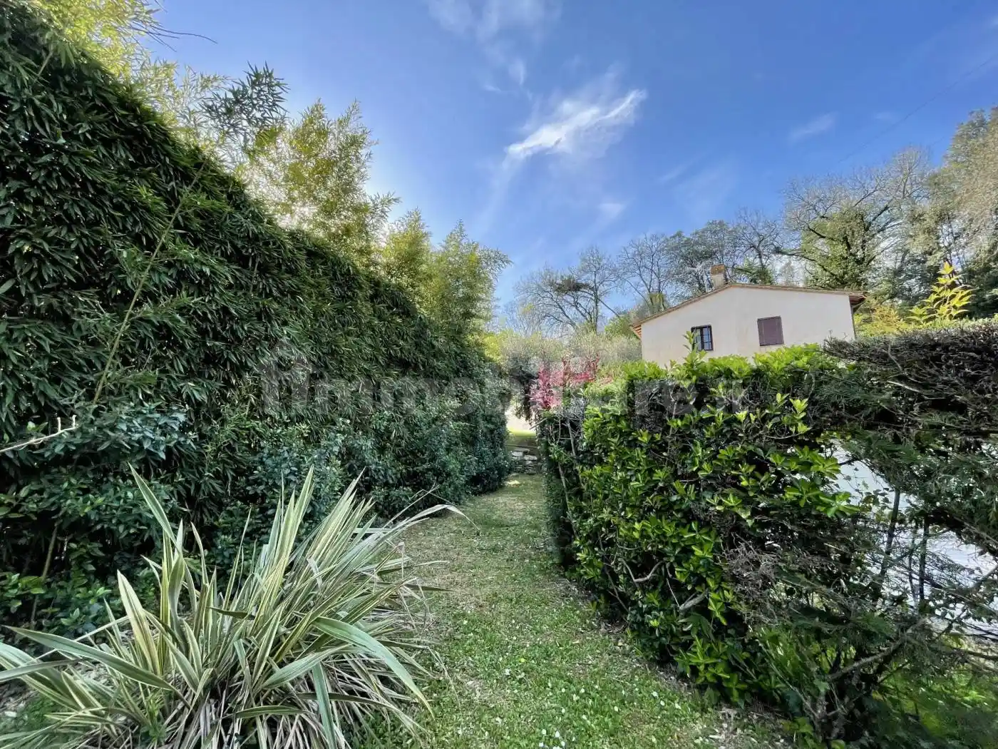 Villa in vendita a Montecarlo