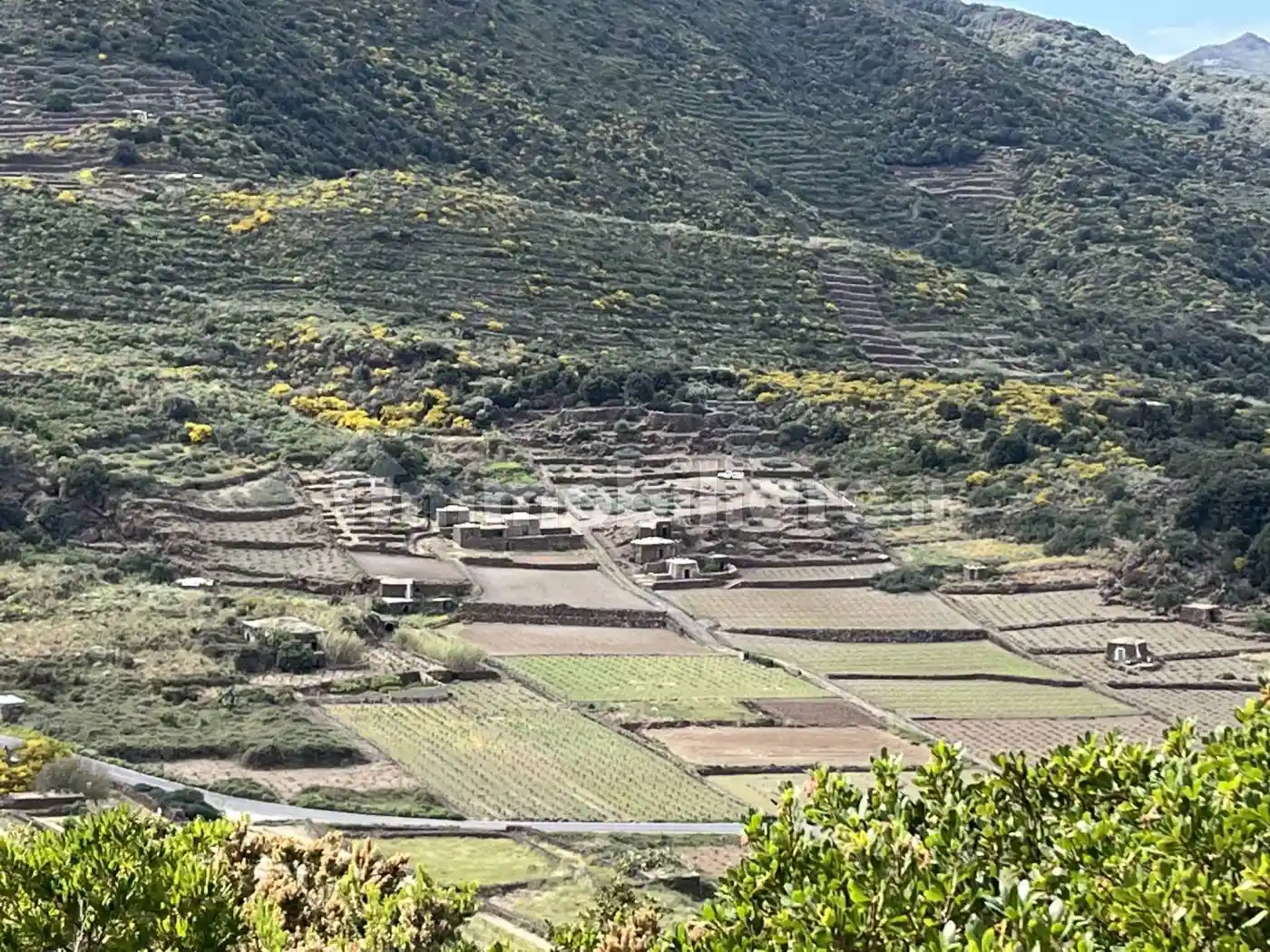 Rustico - Casale in vendita a Pantelleria