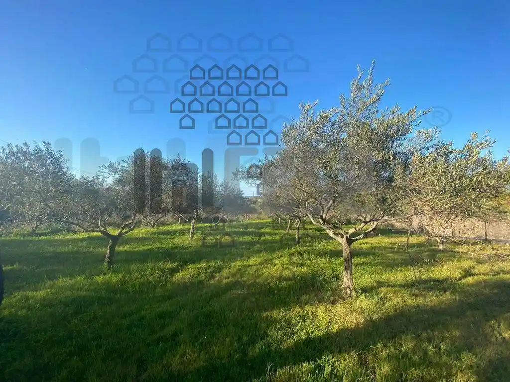 Rustico - Casale in vendita a Santa Lucia del Mela