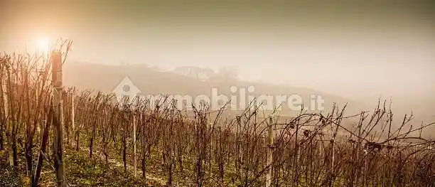 Rustico - Casale in vendita a Cortemilia