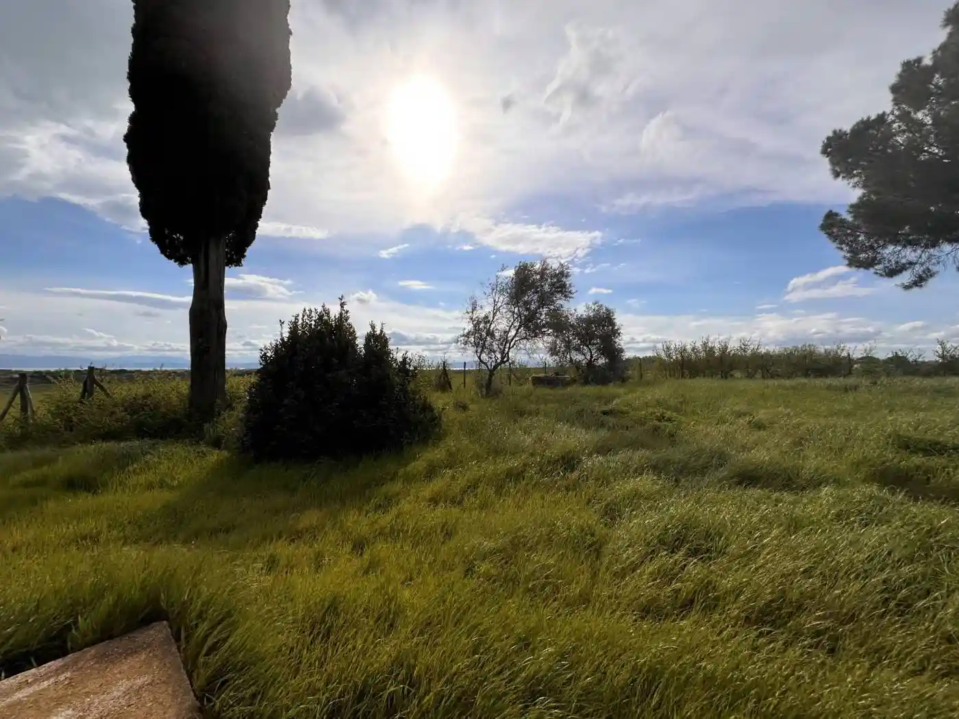 Casale via Paganico, Piana, Castiglione del Lago - foto 4