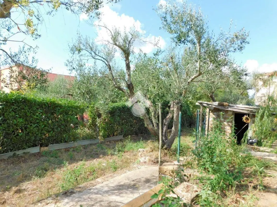 Terratetto unifamiliare via Monte Morgi 11, Calcata - foto 3
