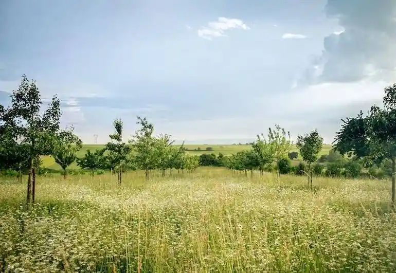 Casa indipendente in vendita a Viterbo