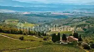 Villetta a schiera in vendita a Collesalvetti