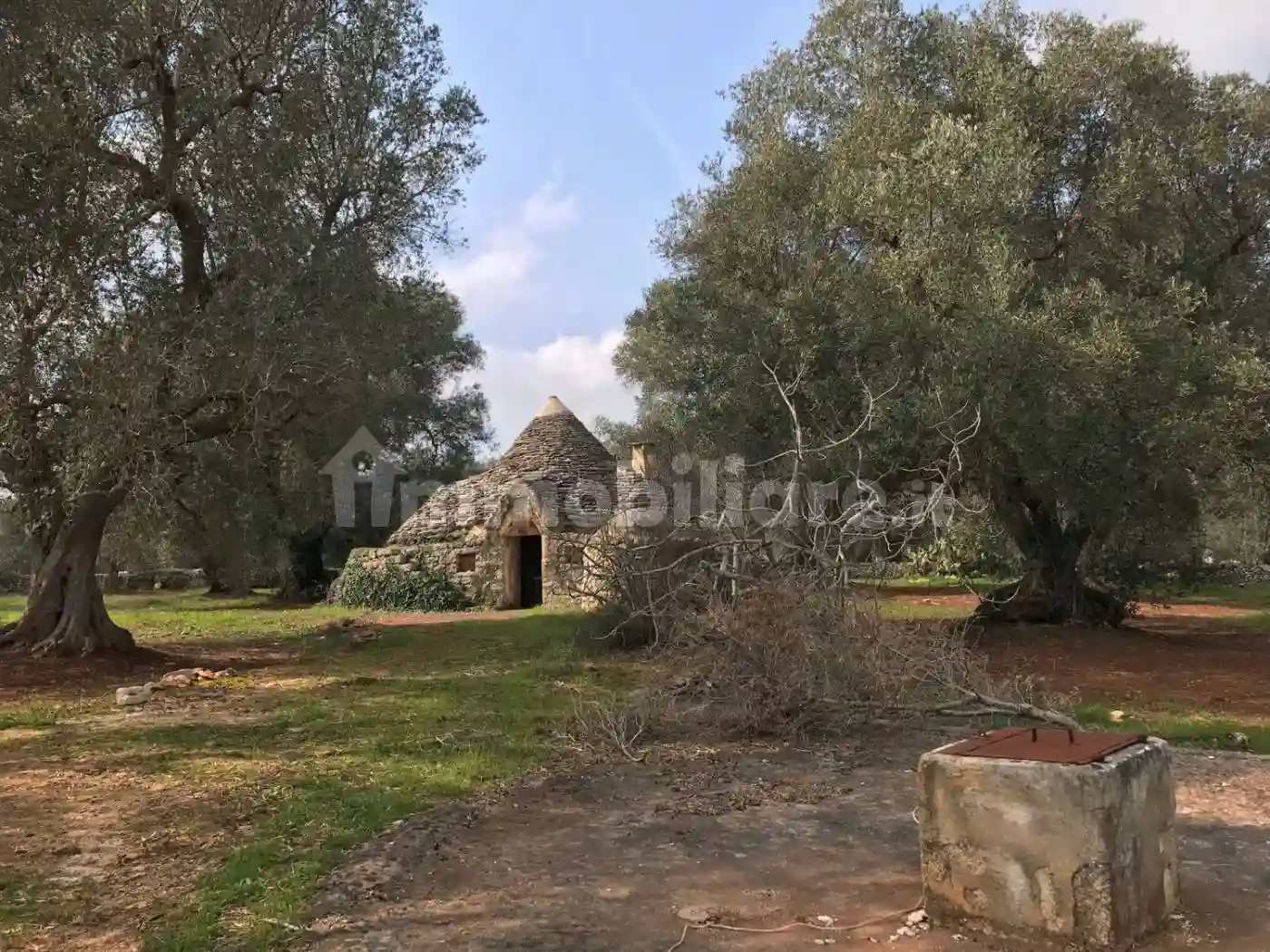 Rustico - Casale - foto 2