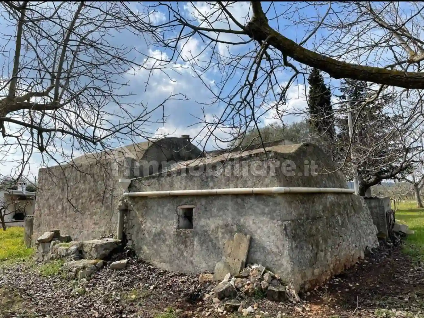 Rustico - Casale - foto 3