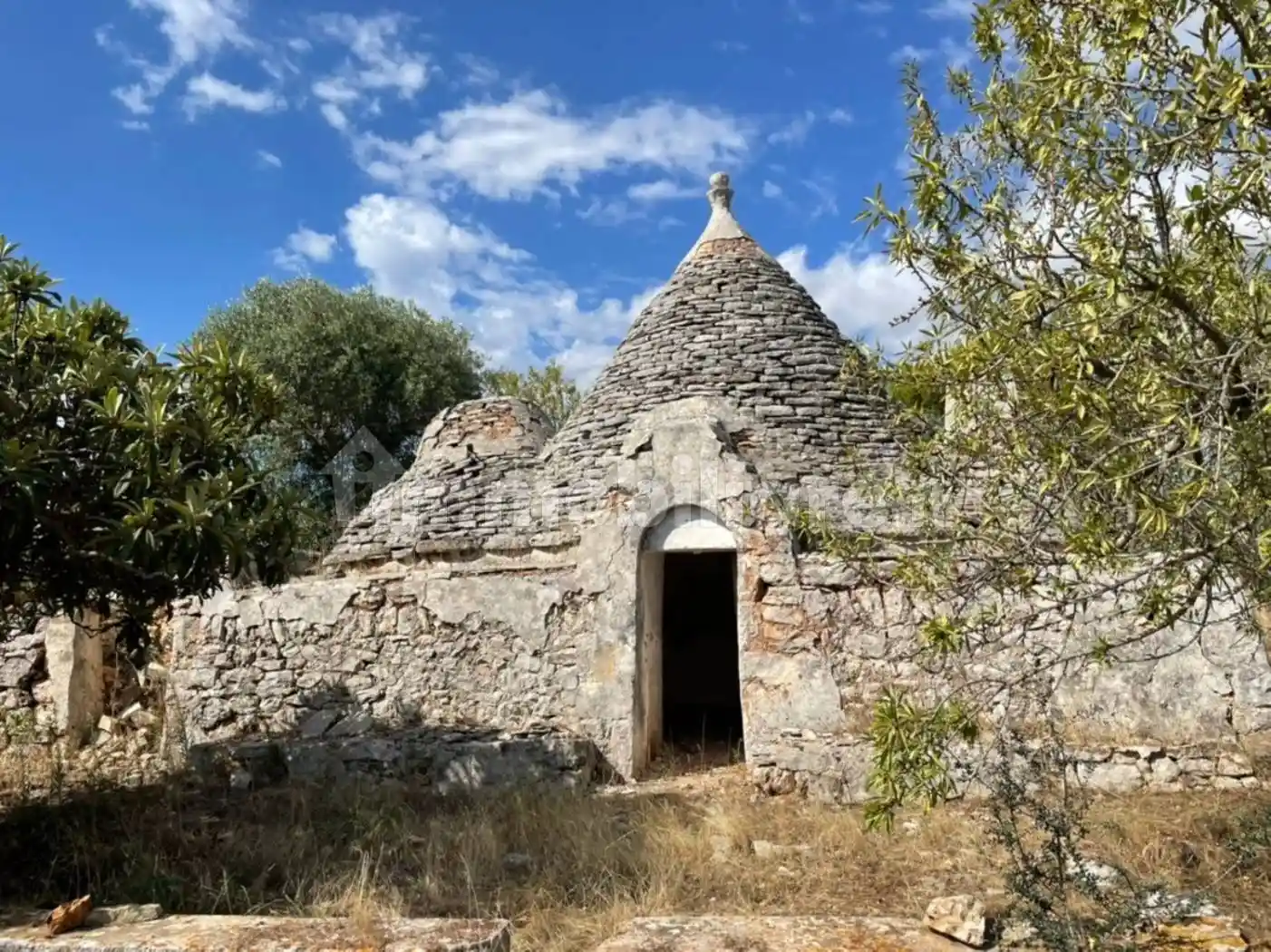 Rustico - Casale in vendita a Ceglie Messapica