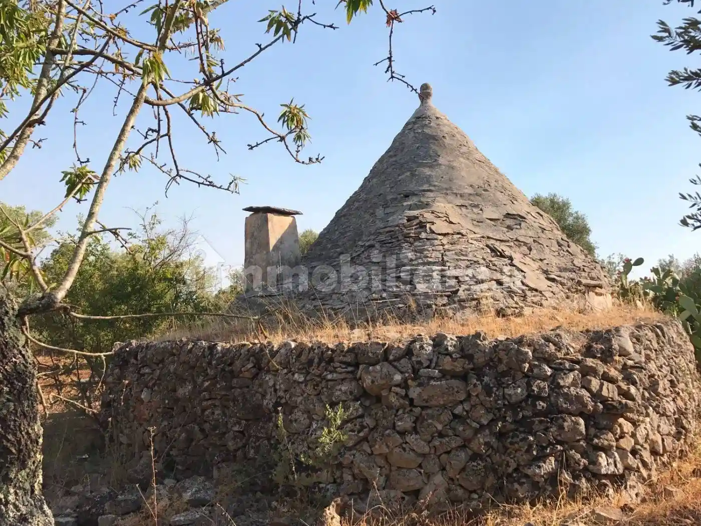 Rustico - Casale in vendita a Ceglie Messapica