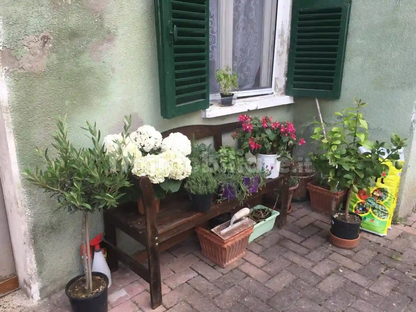 Terratetto plurifamiliare via Vittorio Veneto 5A, Corsione - foto 4