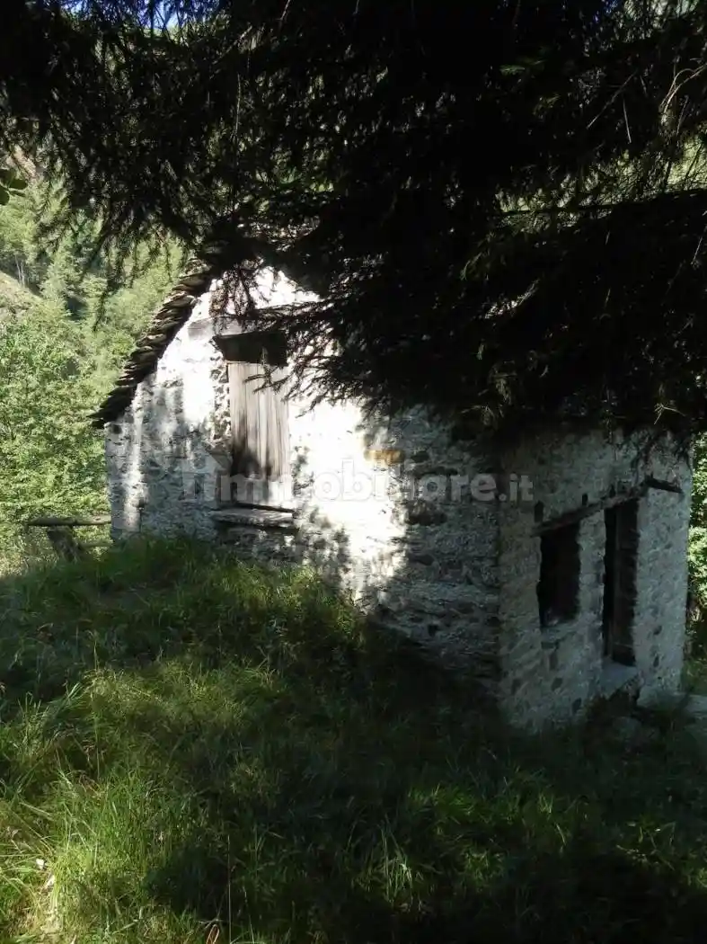 Chalet Alpe Gulone San c, Cravagliana - foto 2