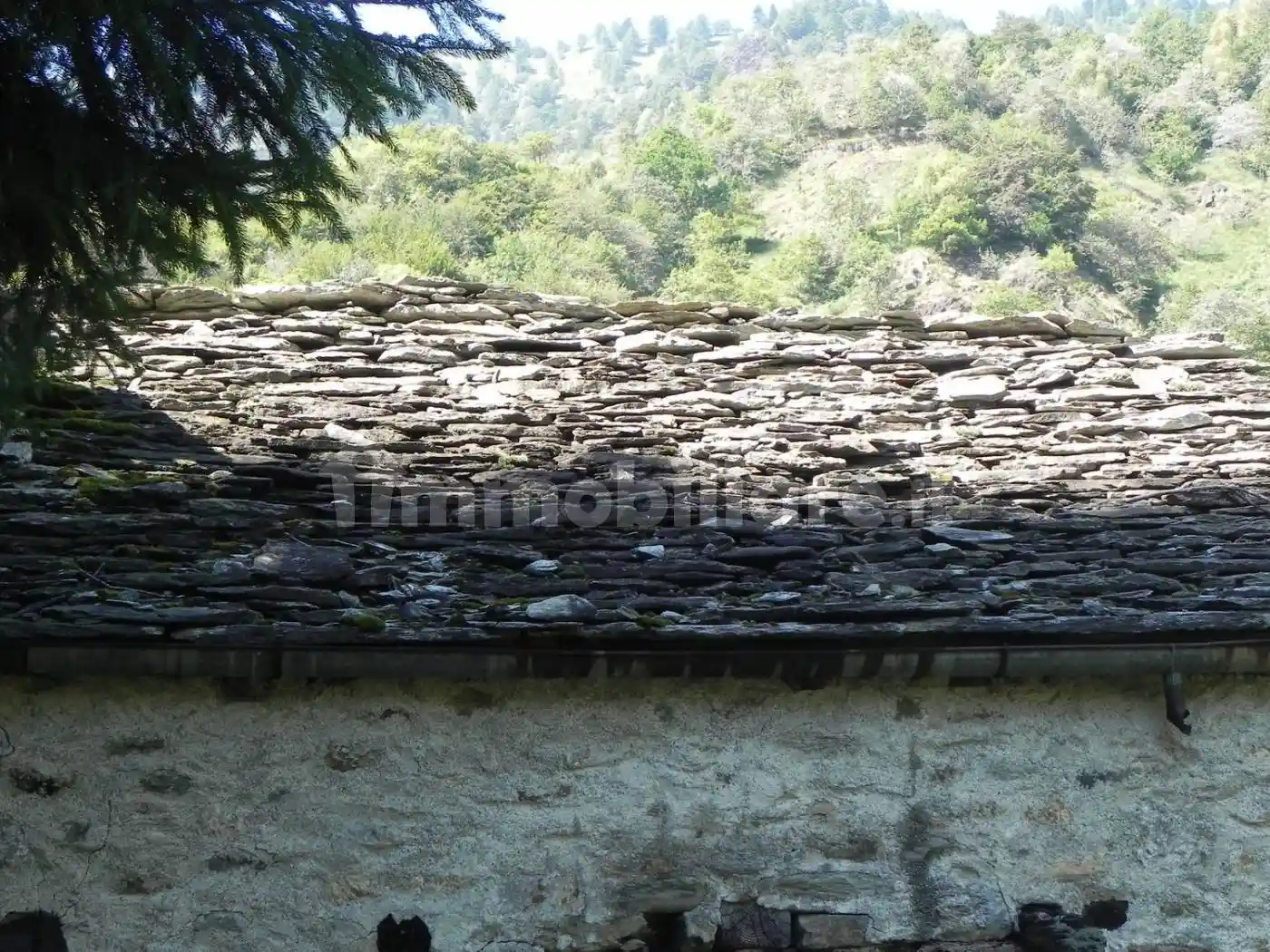 Chalet Alpe Gulone San c, Cravagliana - foto 5