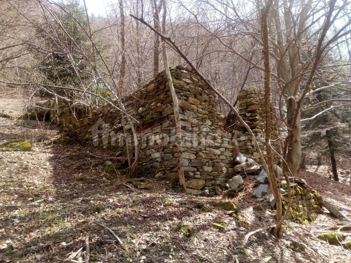 Baita Strada Provinciale Valsermenza, Alto Sermenza - foto 2