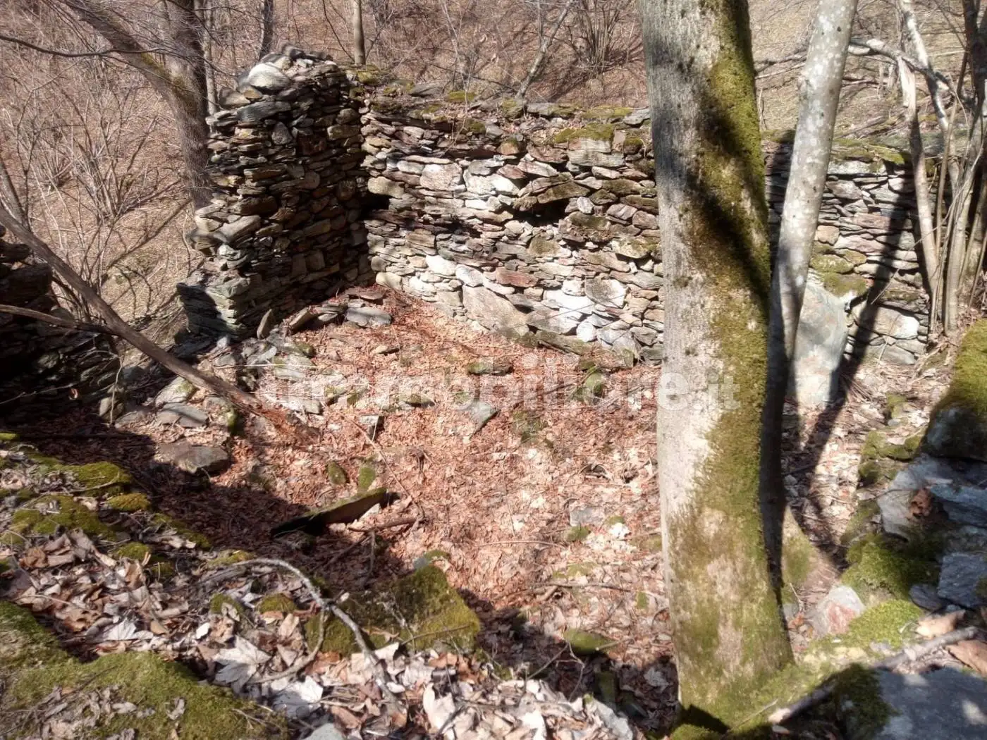 Baita Strada Provinciale Valsermenza, Alto Sermenza - foto 3