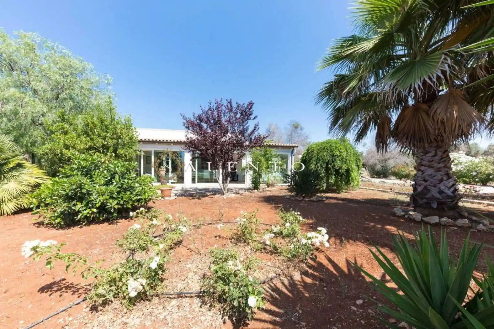 Villa in vendita a Morciano di Leuca