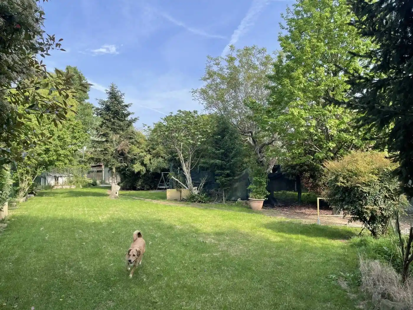 Cascina, da ristrutturare, 478 m², Cernusco Lombardone - foto 2