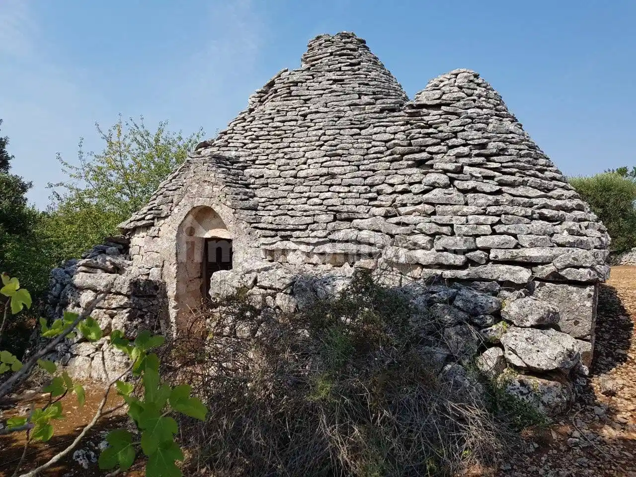Rustico - Casale in vendita a Martina Franca