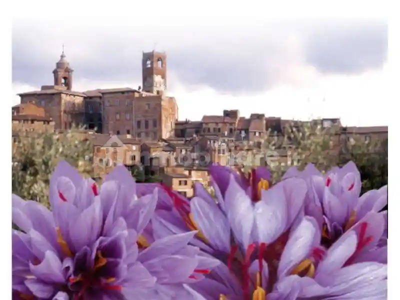 Villa in vendita a Città della Pieve