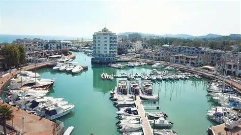 Appartamento in affitto a Misano Adriatico