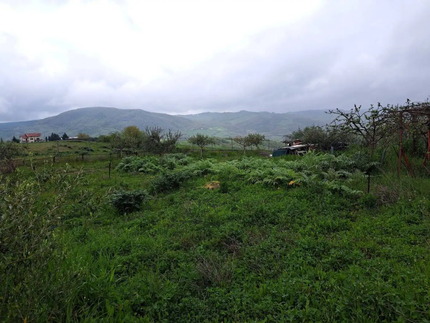 Rustico Strada Provinciale Bagnolese Terzo Tratto, Bagnoli del Trigno - foto 2