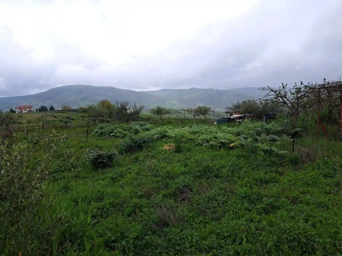 Rustico Strada Provinciale Bagnolese Terzo Tratto, Bagnoli del Trigno - foto 4