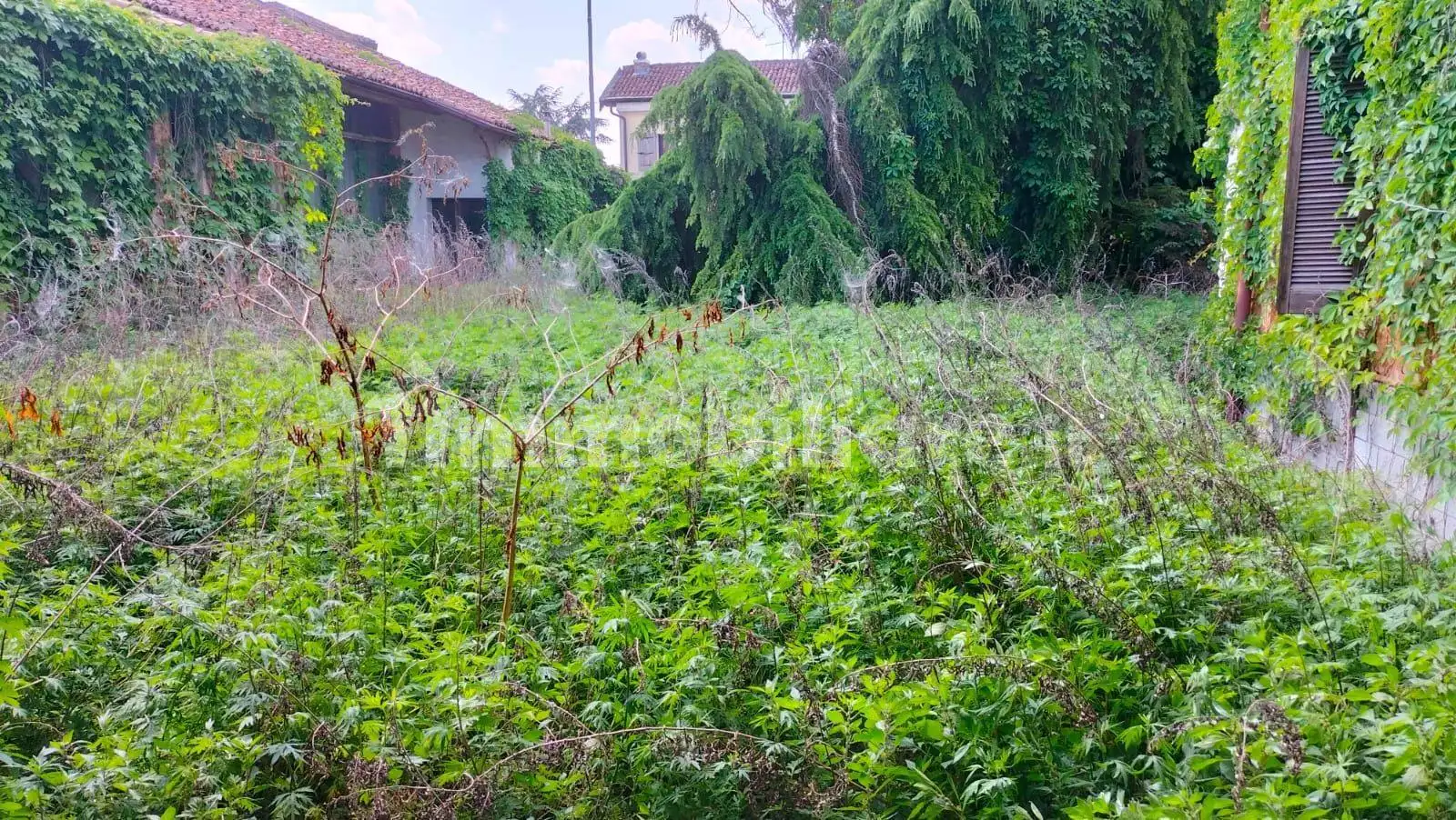 Villa in vendita a Salvirola