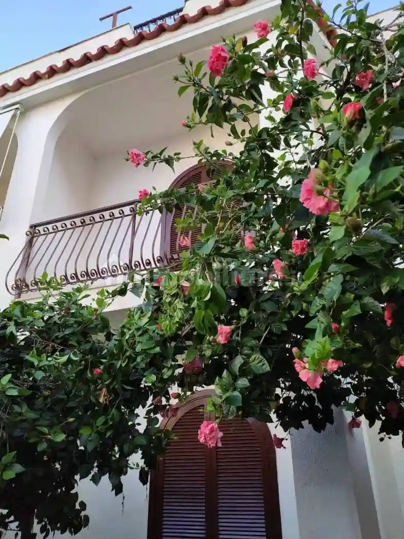 Villa a schiera via Aldo Moro, Nocera Scalo, Nocera Terinese - foto 4