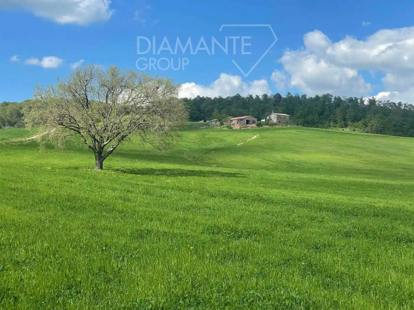 Rustico - Casale in vendita a Valentano