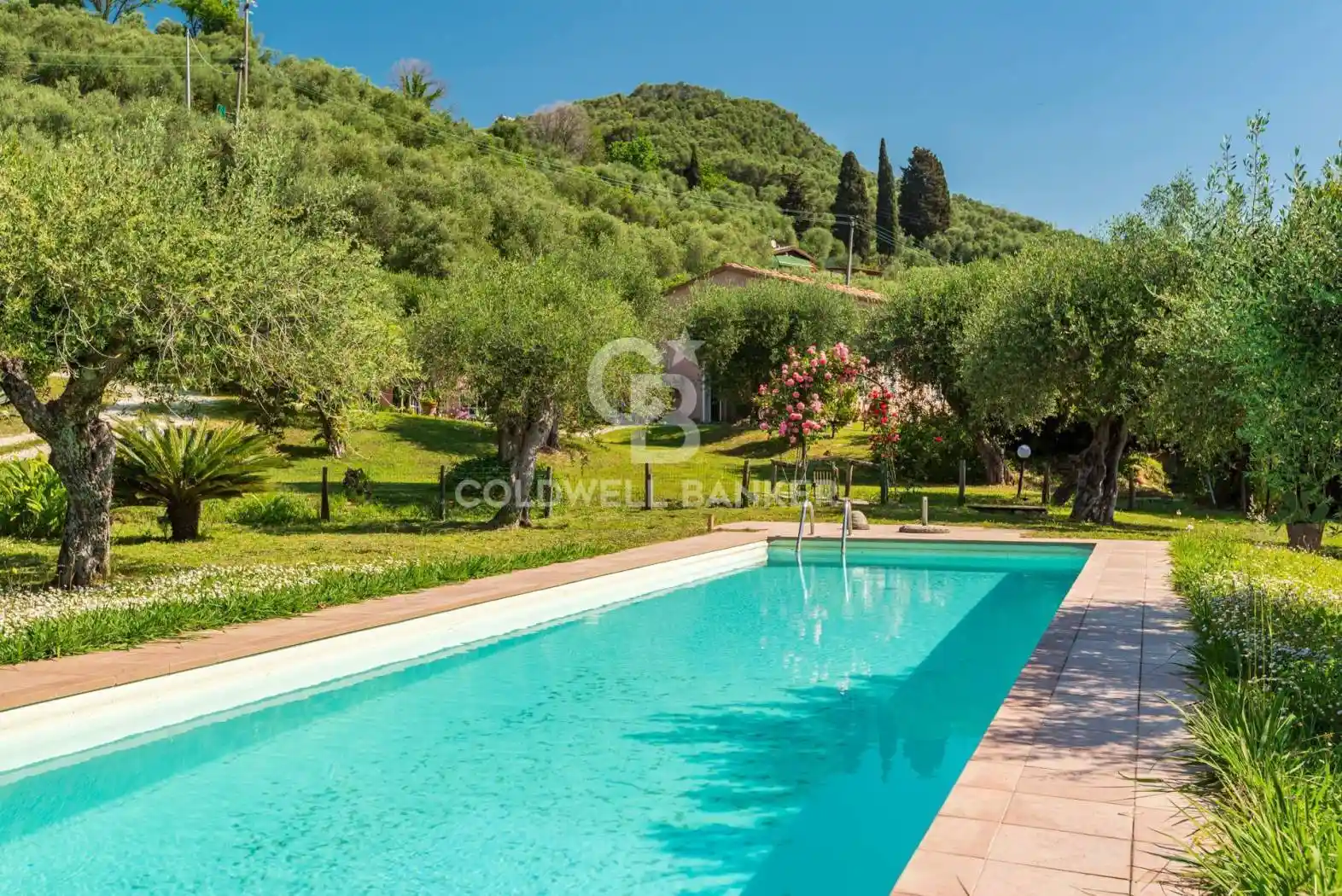 Villa in vendita a Massarosa