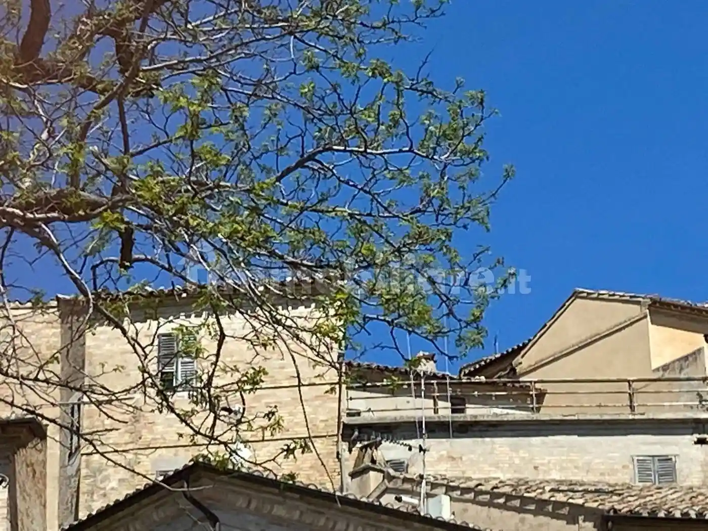 Casa indipendente in vendita a Fermo