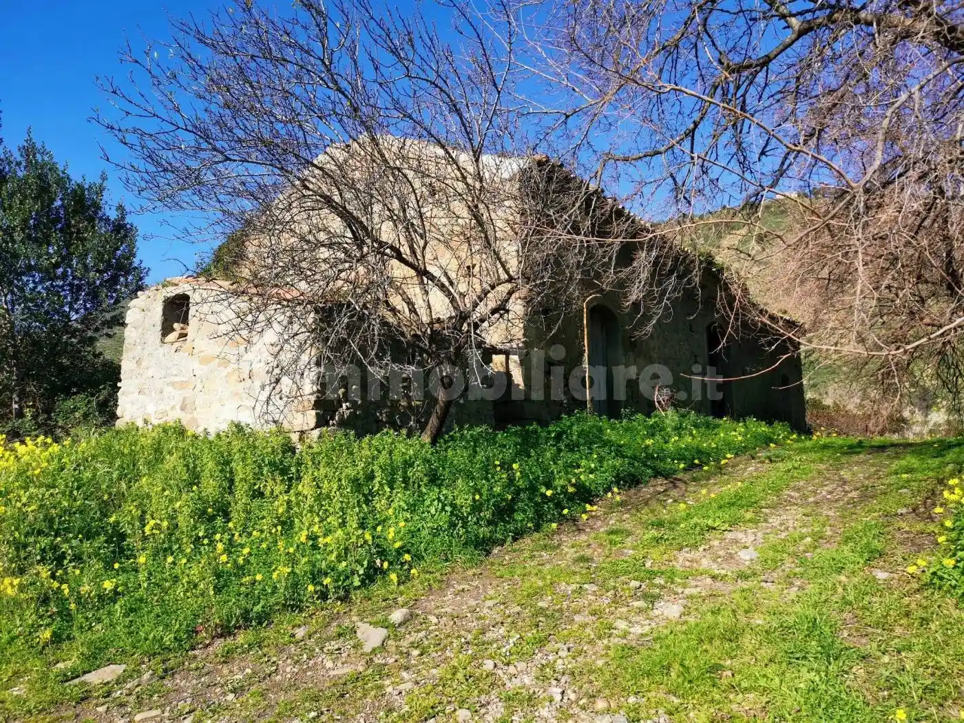 Rustico - Casale in vendita a Castiglione di Sicilia