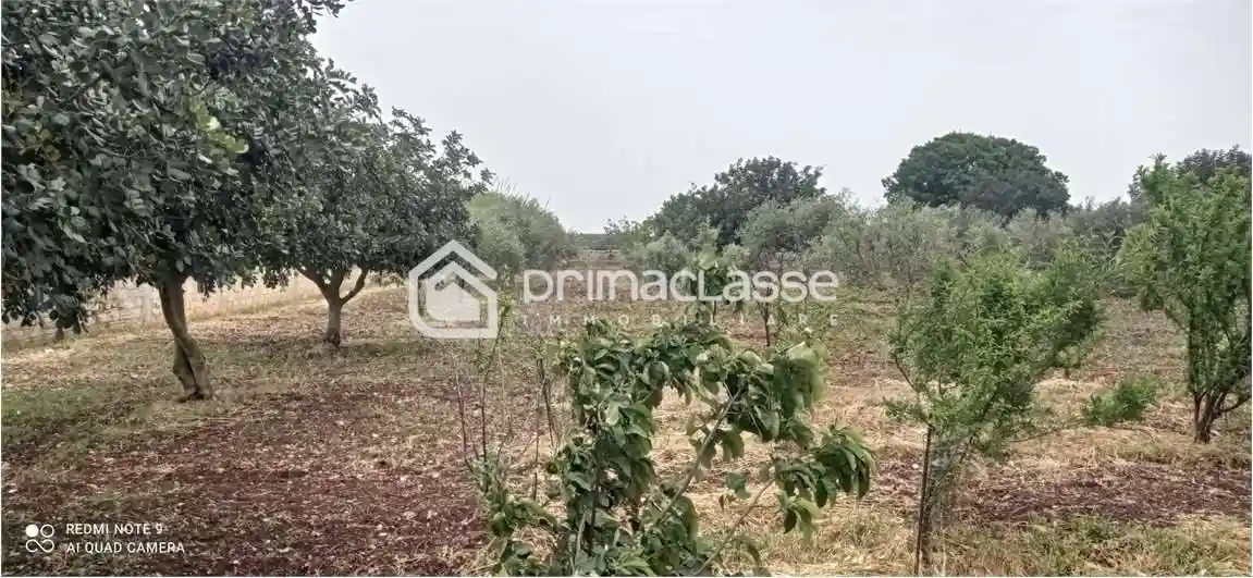 Villa unifamiliare 140 m², Michelica, Modica - foto 4