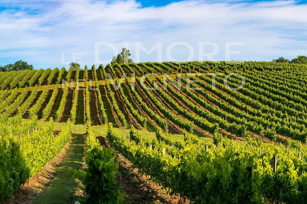Appartamento in vendita a Torre de' Roveri