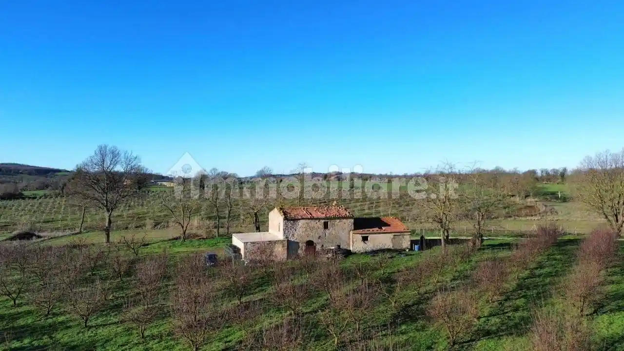 Rustico - Casale in vendita a Manciano