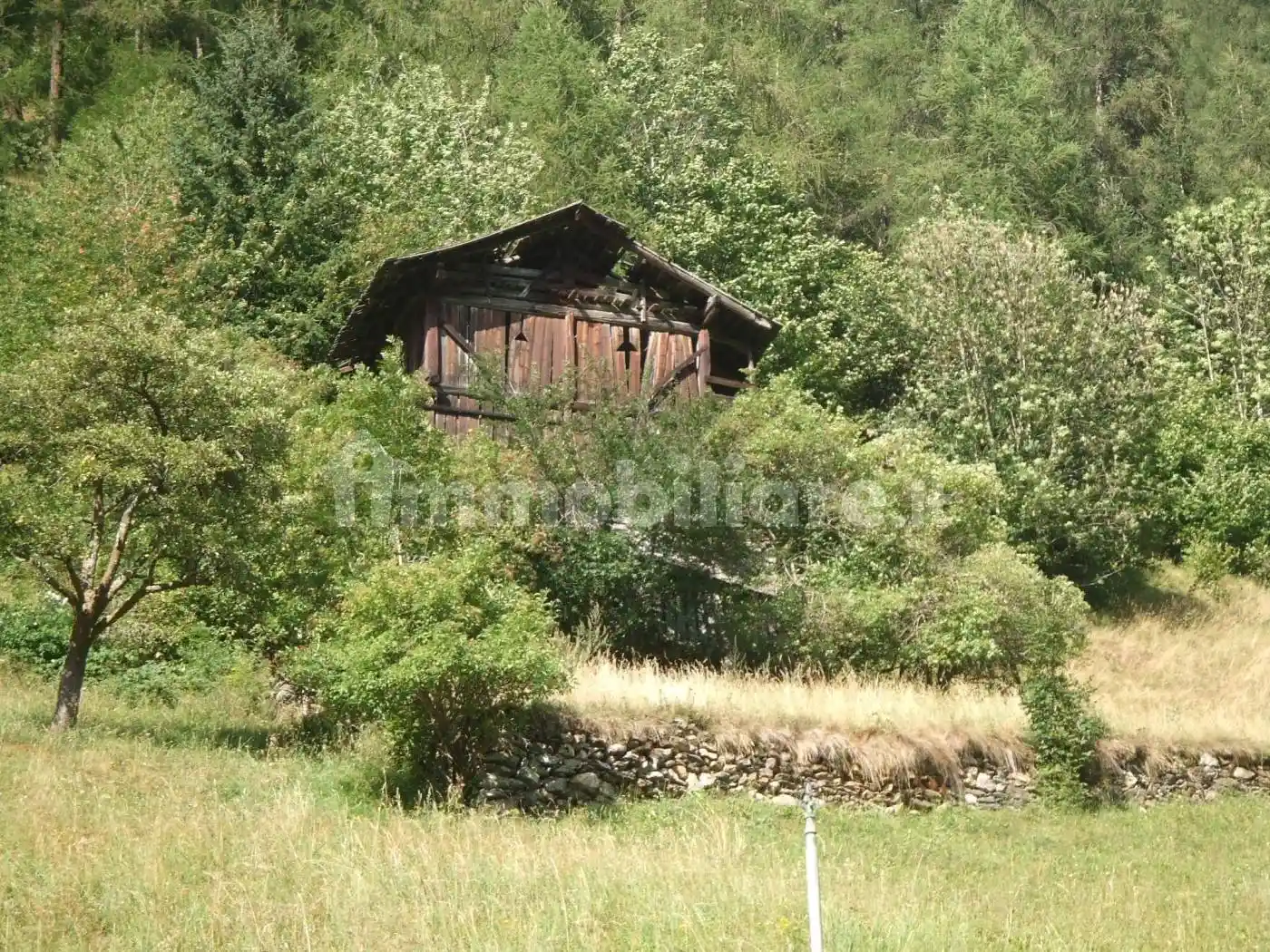 Rustico - Casale in vendita a Rabbi