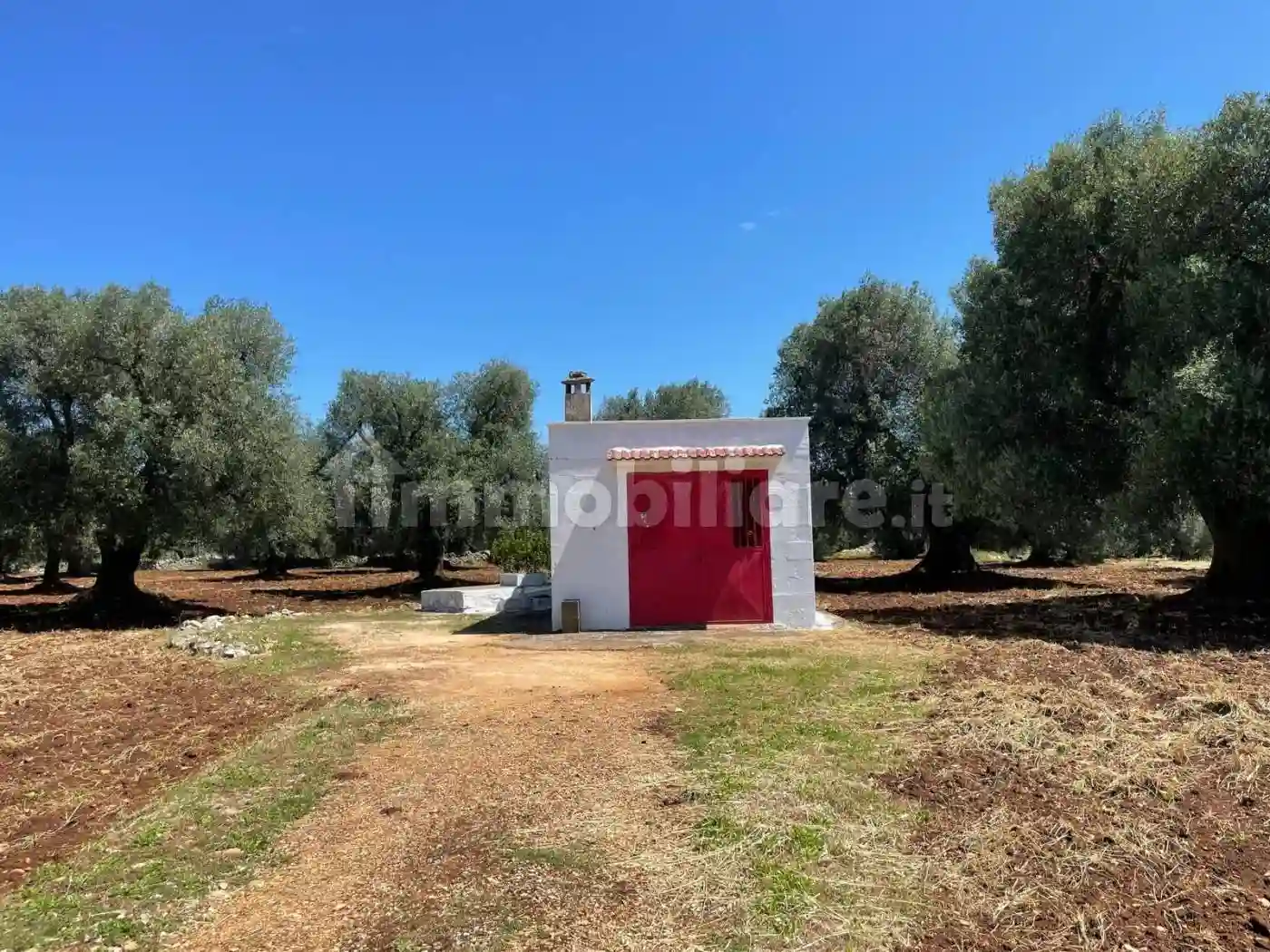 Rustico - Casale - foto 4