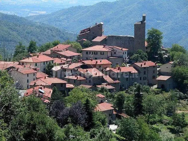 Casa indipendente in vendita a Montemignaio