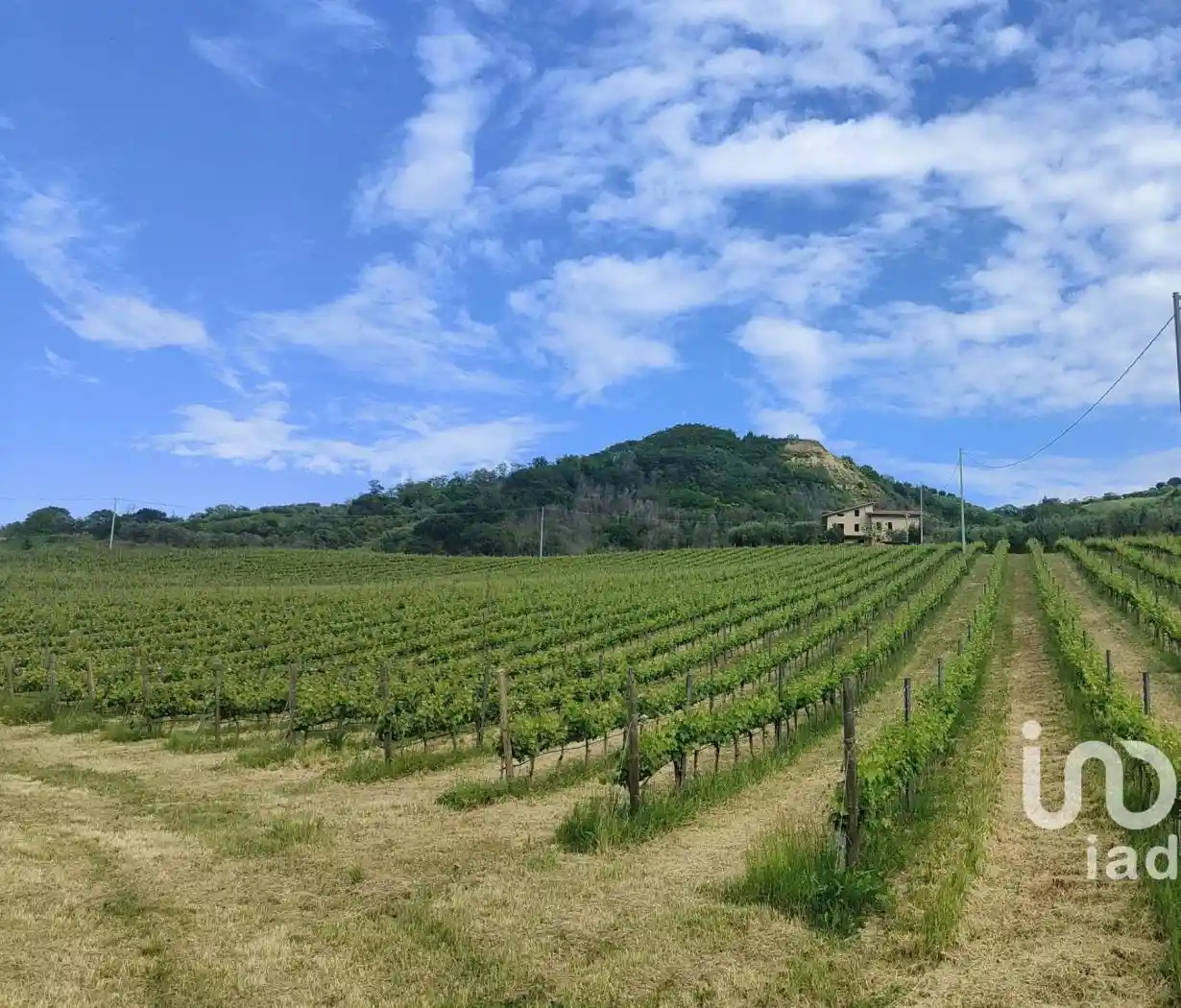 Rustico Strada piane tronto, Controguerra - foto 3