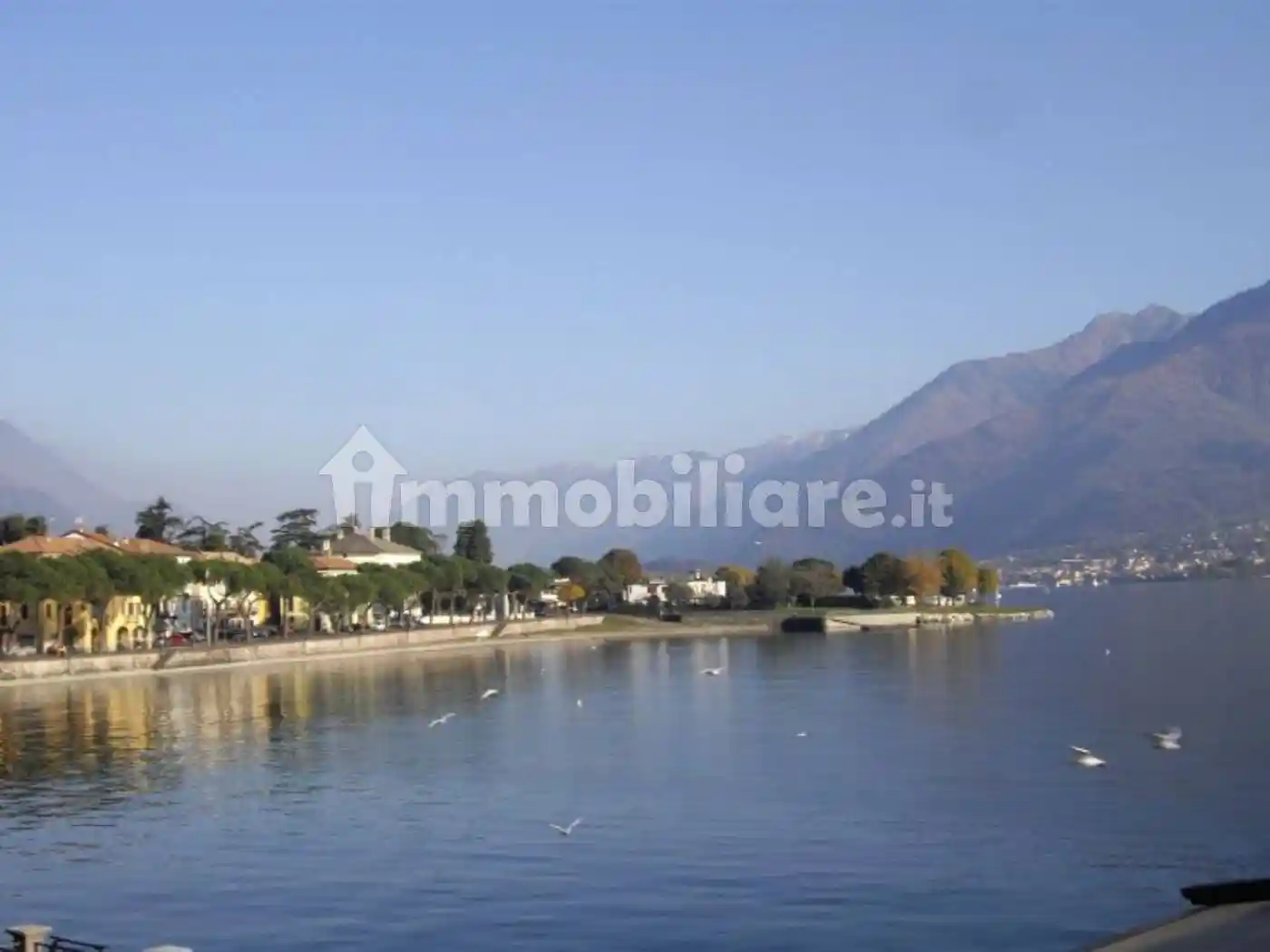 Appartamento in affitto a Domaso