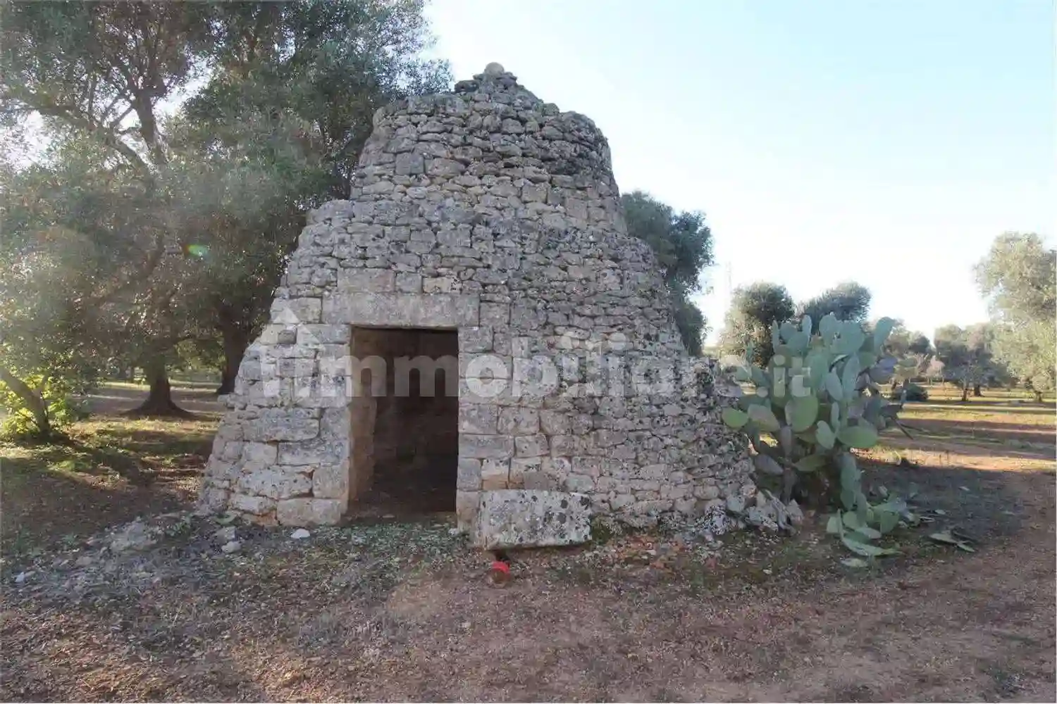 Rustico - Casale - foto 5