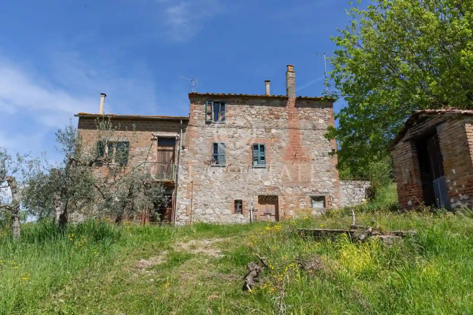 Rustico - Casale - foto 4