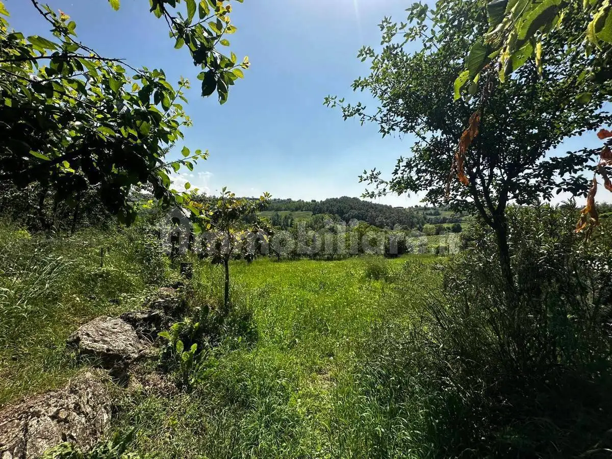 Villa unifamiliare Roma, 13, Pometo, Colli Verdi - foto 4