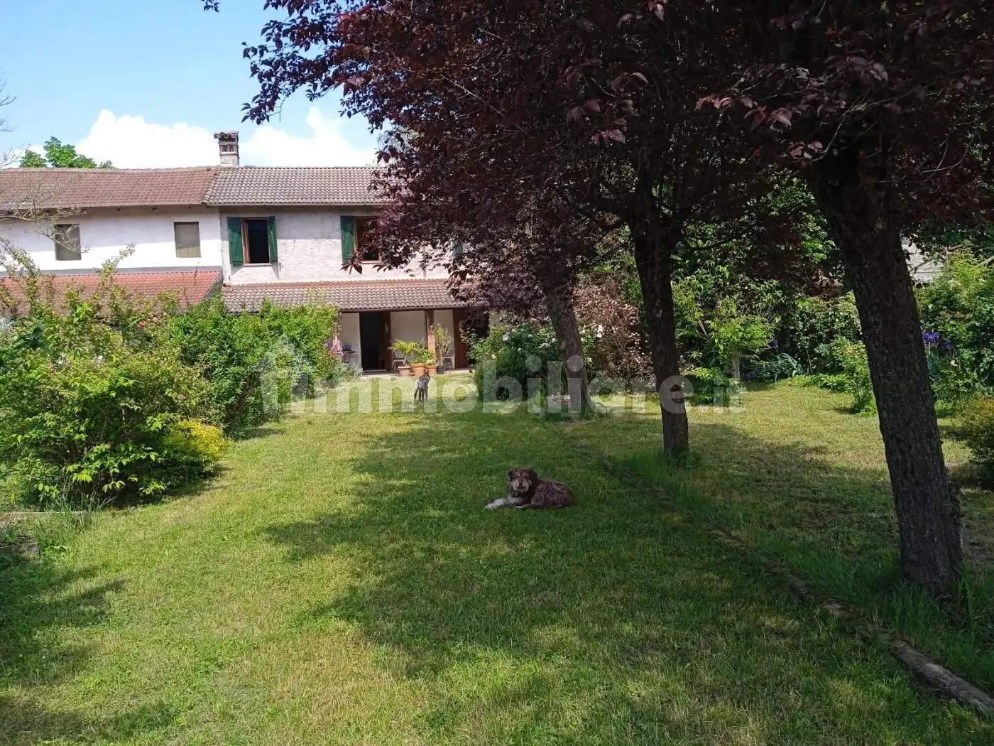 Rustico - Casale in vendita a Silvano d'Orba