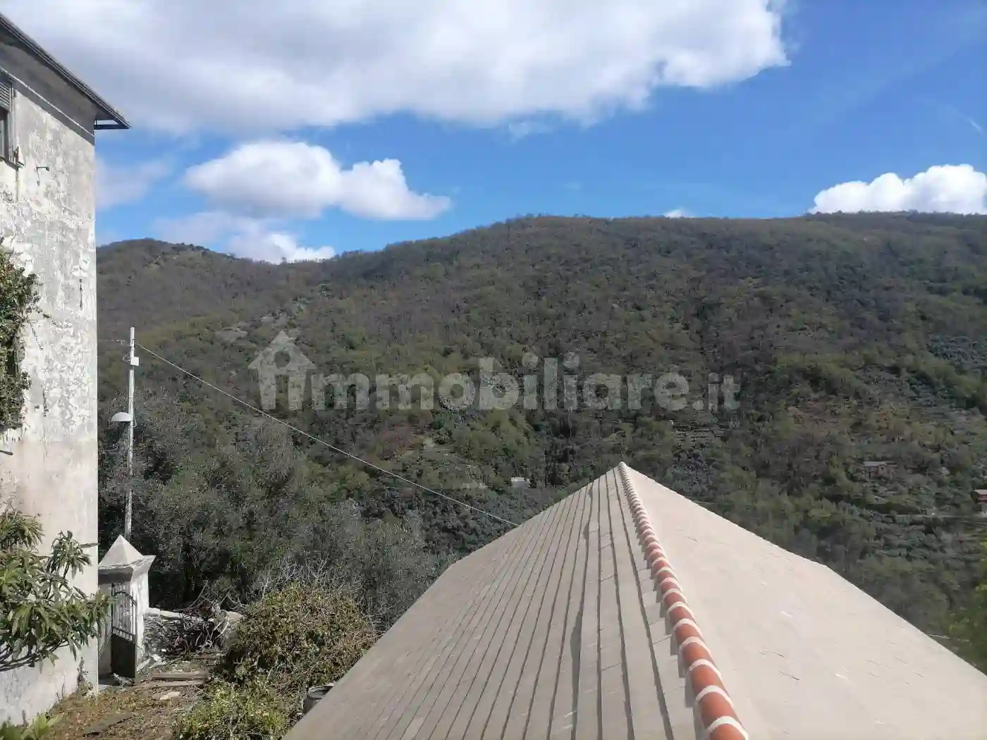 Palazzo - Edificio - foto 5